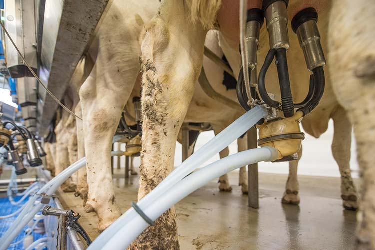 manual-milk-fat-testing-machine