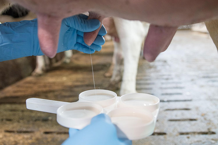 milk-fat-testing-machine-for-home