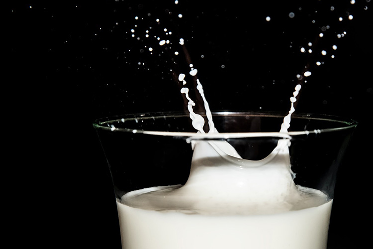 milk-tester-machine-price